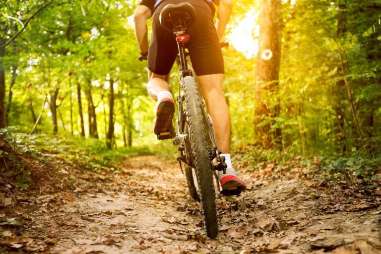 ¿Cómo saber la talla del cuadro de bici?
