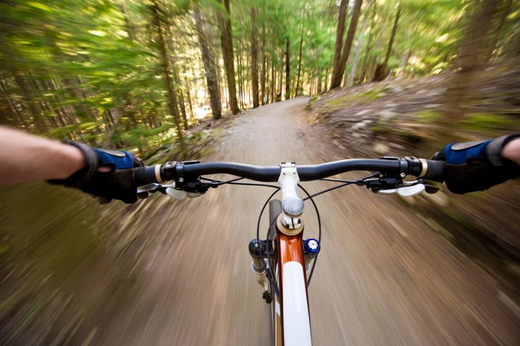 Bici XC: ¿Qué es y cuál comprar?